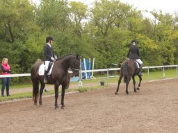 img_9537_web